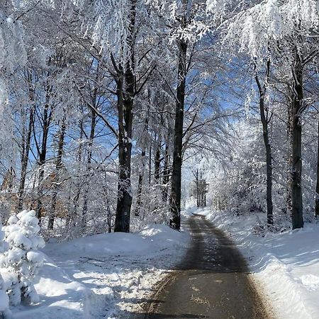 Domek Goscinny Dyziowka Szczyrk Dış mekan fotoğraf