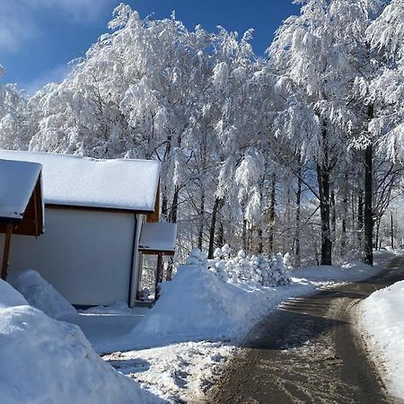 Domek Goscinny Dyziowka Szczyrk Dış mekan fotoğraf