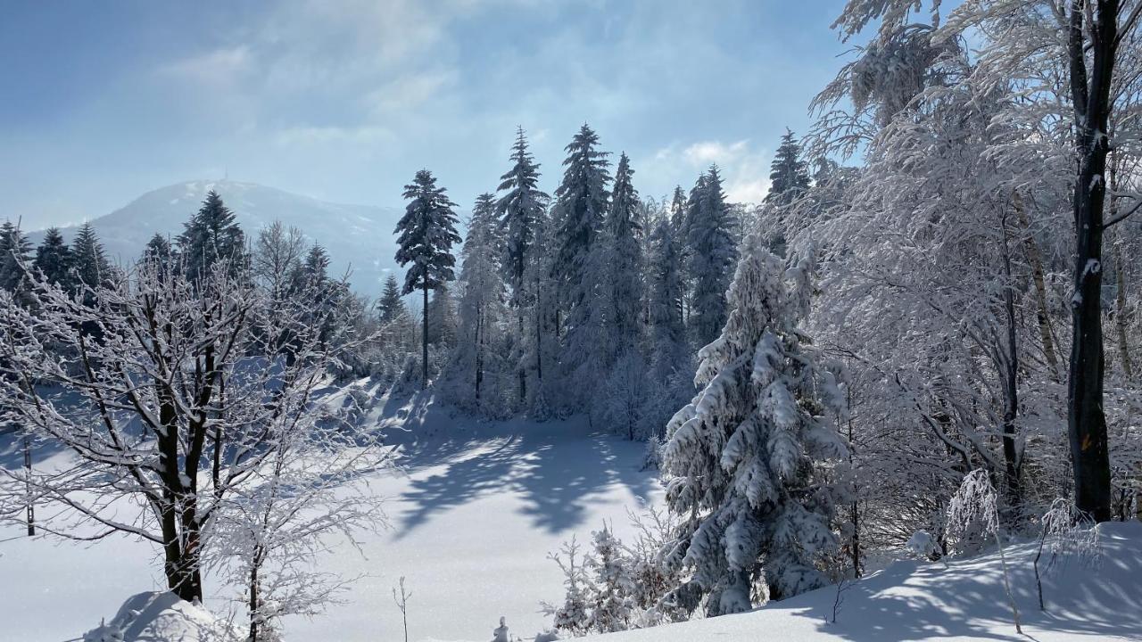 Domek Goscinny Dyziowka Szczyrk Dış mekan fotoğraf